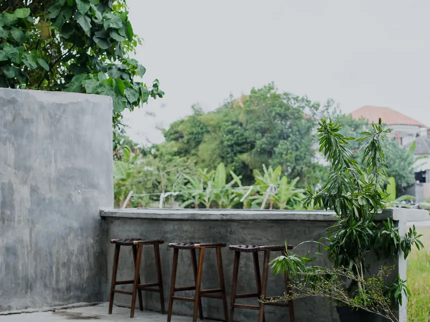 A low rendered garden wall with planting beside a poured concrete terrace