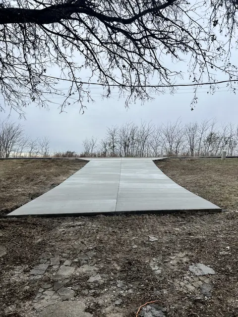A new concrete approach curving in under a large tree