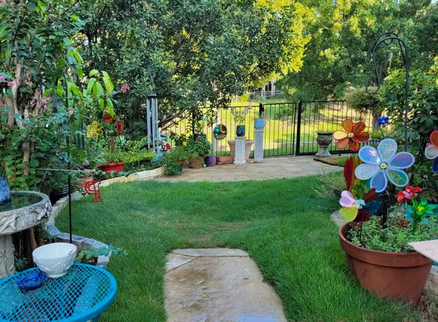 A flagstone path through a backyard garden